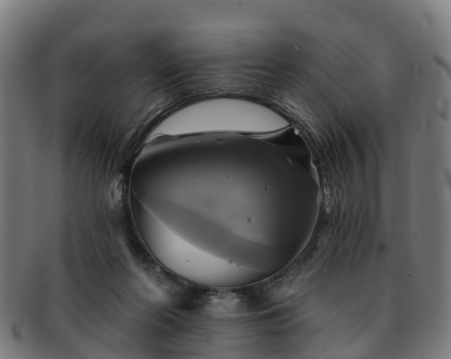 X0000091910214200709121523