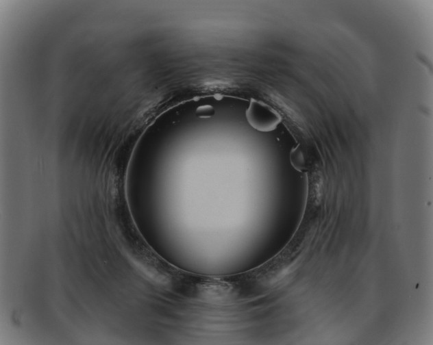 X0000091910215200709121523