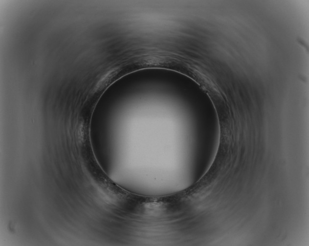 X0000091910216200709121523