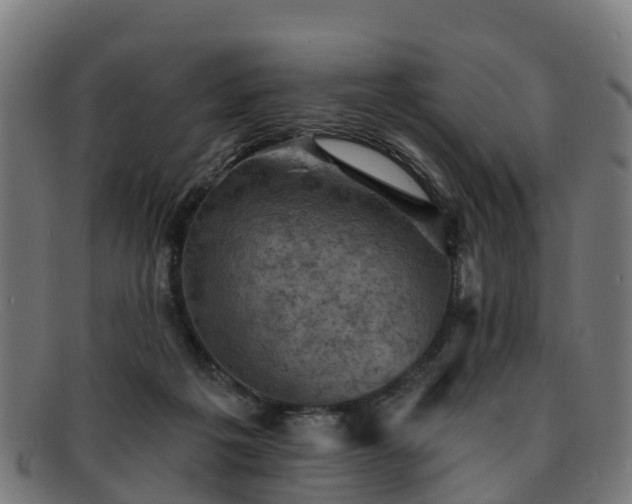 X0000091910217200709121523