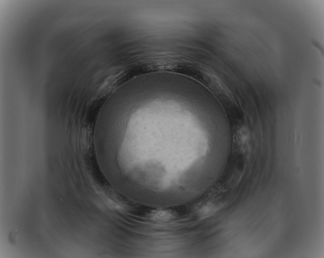 X0000091910218200709121523