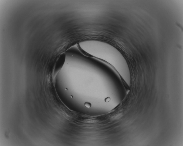 X0000091910219200709121523