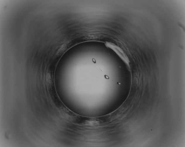 X0000091910220200709121523