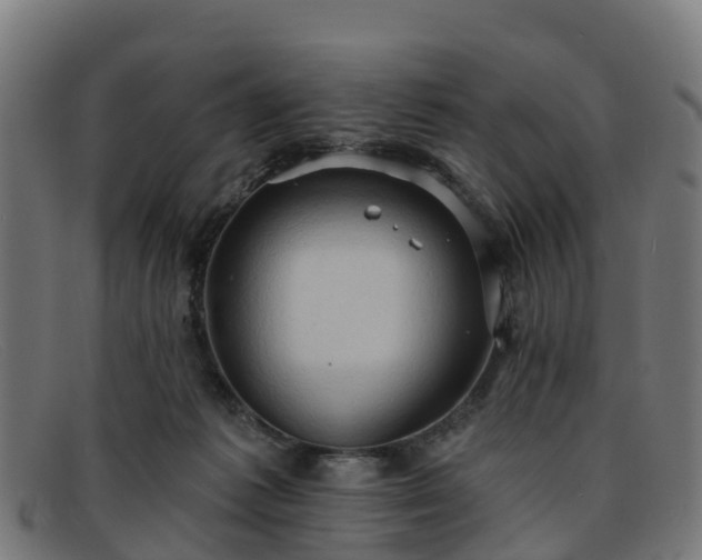 X0000091910221200709121523