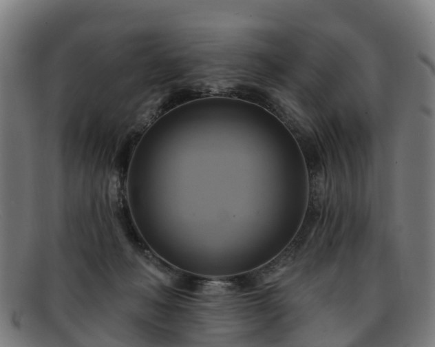 X0000091910222200709121523