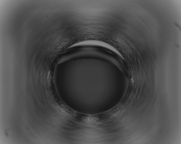 X0000091910223200709121523