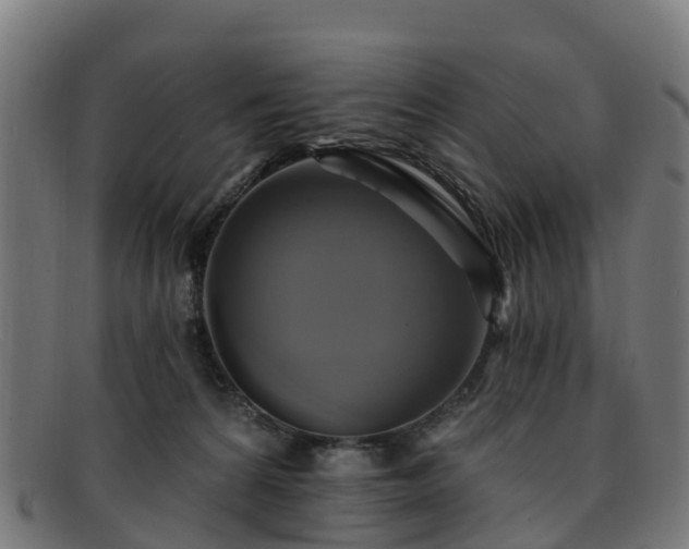 X0000091910224200709121523