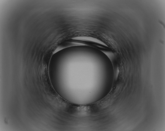 X0000091910225200709121523