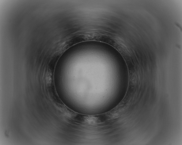 X0000091910226200709121523