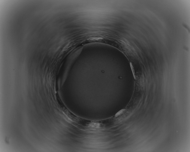 X0000091910227200709121523