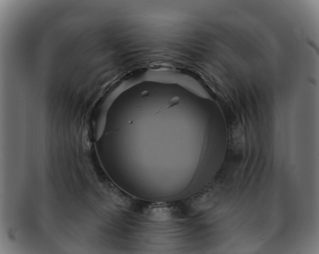 X0000091910228200709121523