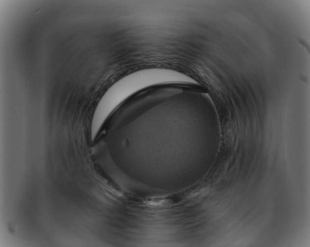 X0000091910229200709121523