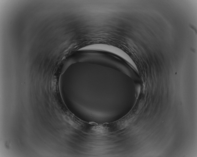 X0000091910231200709121523