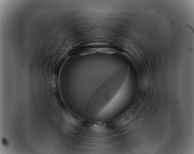 X0000091910232200709121523