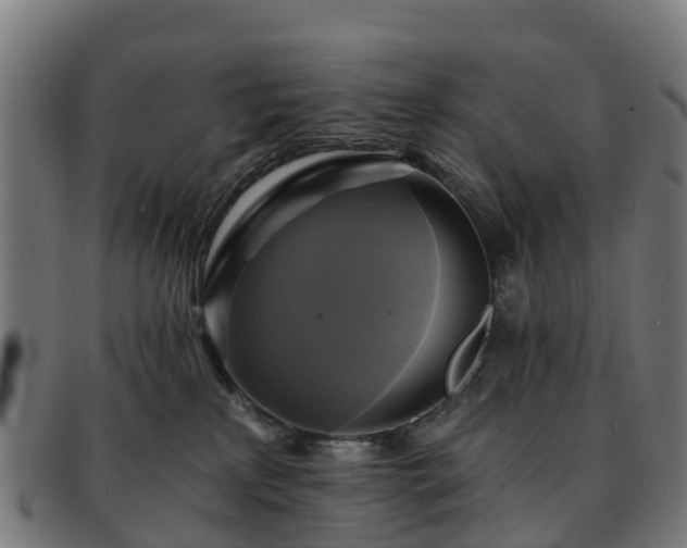 X0000091910233200709121523