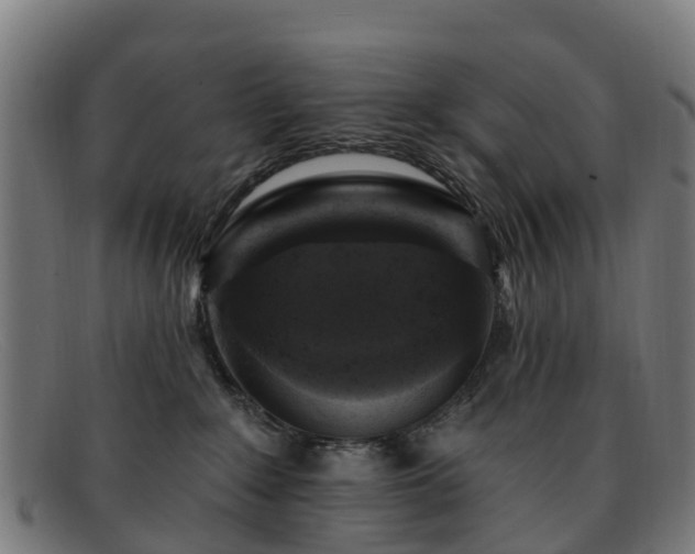 X0000091910235200709121523