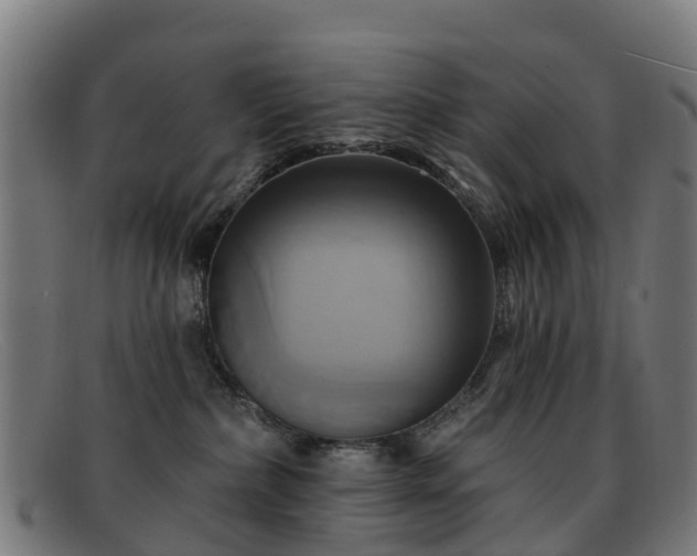 X0000091910236200709121523