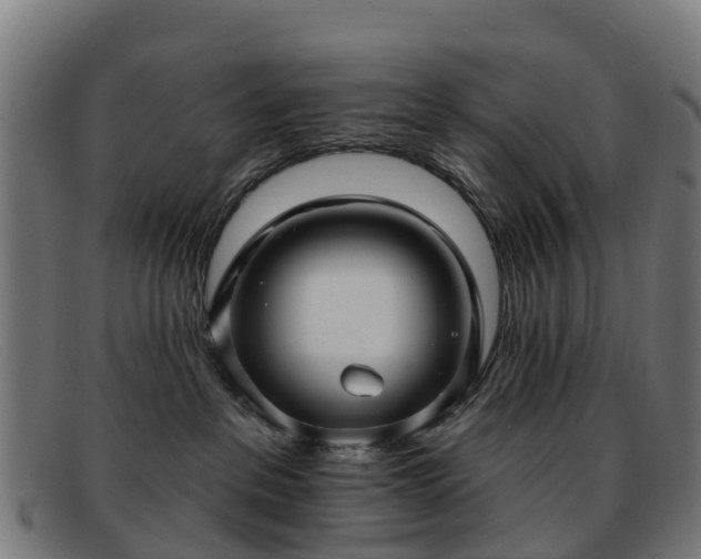 X0000091910237200709121523