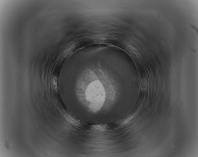 X0000091910238200709121523