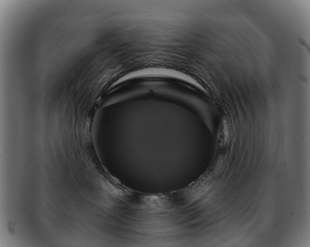 X0000091910239200709121523