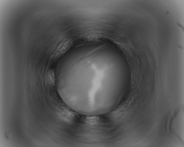 X0000091910240200709121523