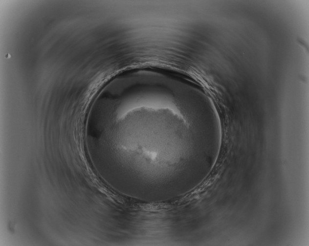 X0000091910241200709121522