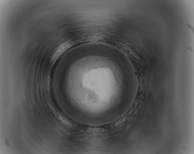 X0000091910242200709121522