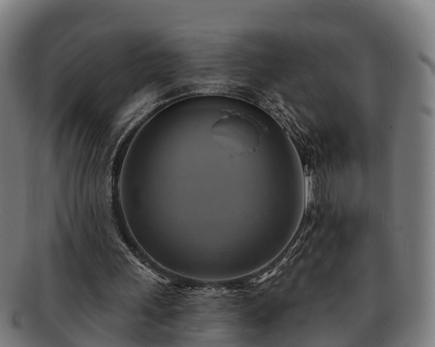 X0000091910243200709121522