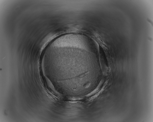 X0000091910244200709121522