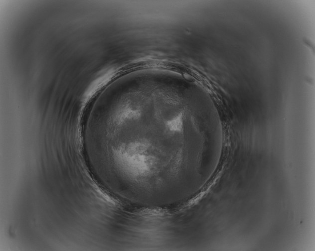 X0000091910245200709121522