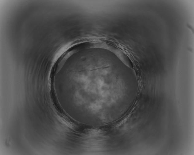 X0000091910246200709121522