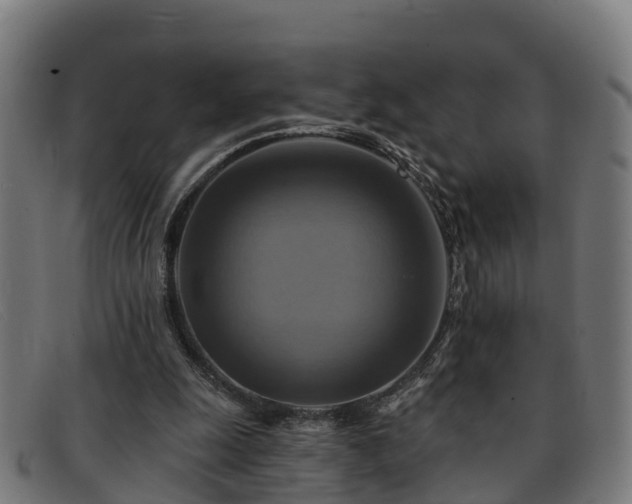 X0000091910247200709121523