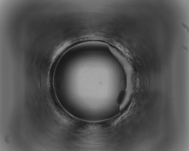 X0000091910248200709121523