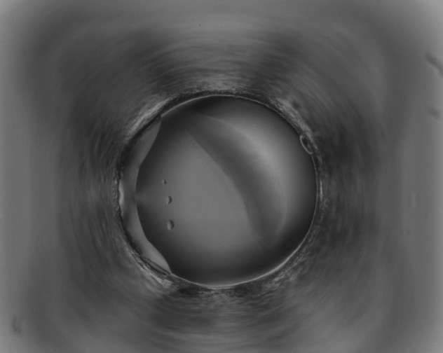 X0000091910249200709121523