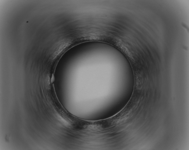 X0000091910251200709121523