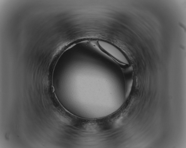 X0000091910252200709121523