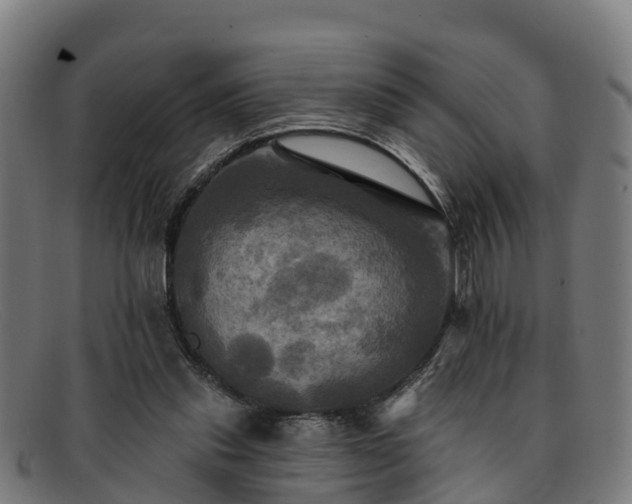 X0000091910253200709121523