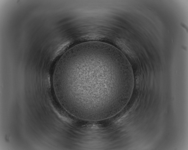 X0000091910254200709121523