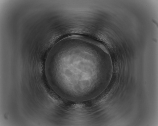 X0000091910255200709121523