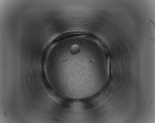 X0000091910256200709121523