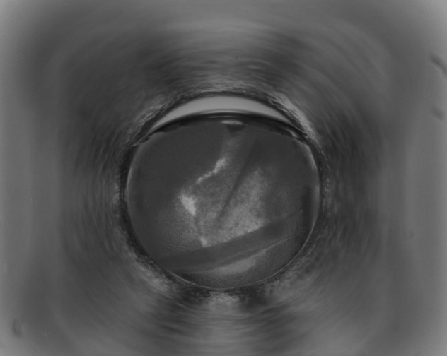 X0000091910257200709121523