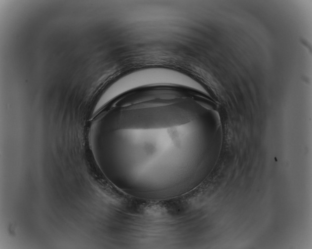 X0000091910258200709121523