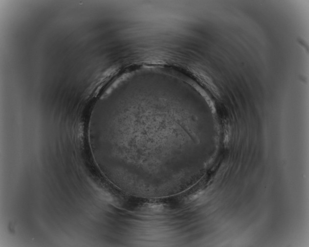 X0000091910260200709121523