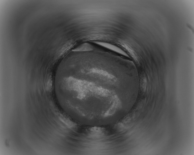 X0000091910261200709121523