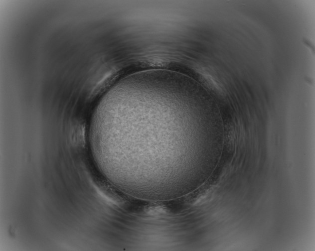 X0000091910262200709121523