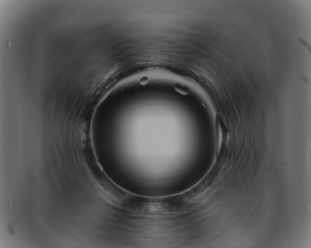 X0000091910264200709121523