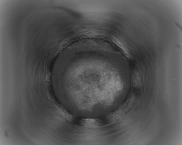 X0000091910265200709121523