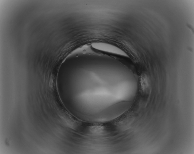 X0000091910266200709121523