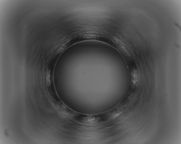 X0000091910267200709121523