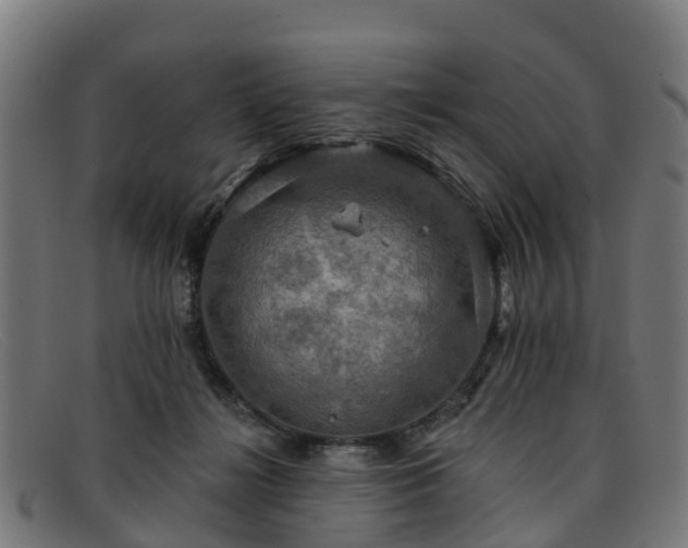 X0000091910268200709121523